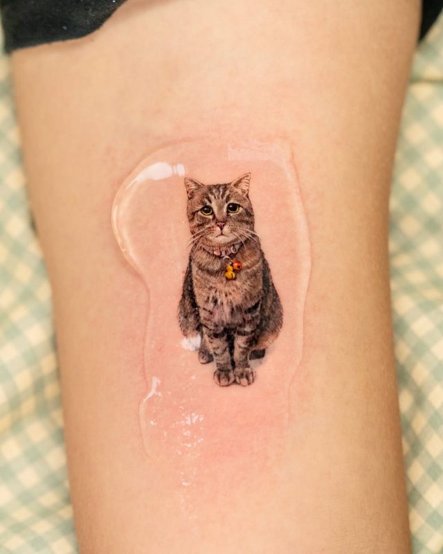 Realistic Cat