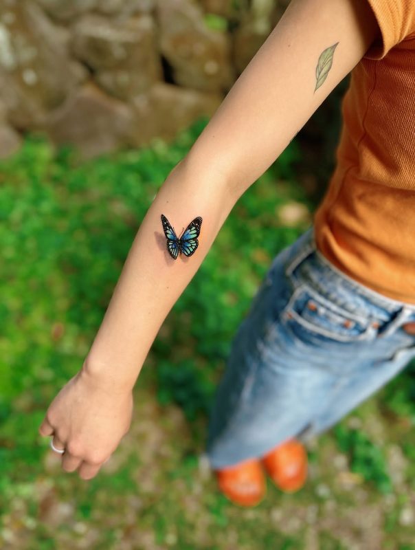 Blue Butterfly
