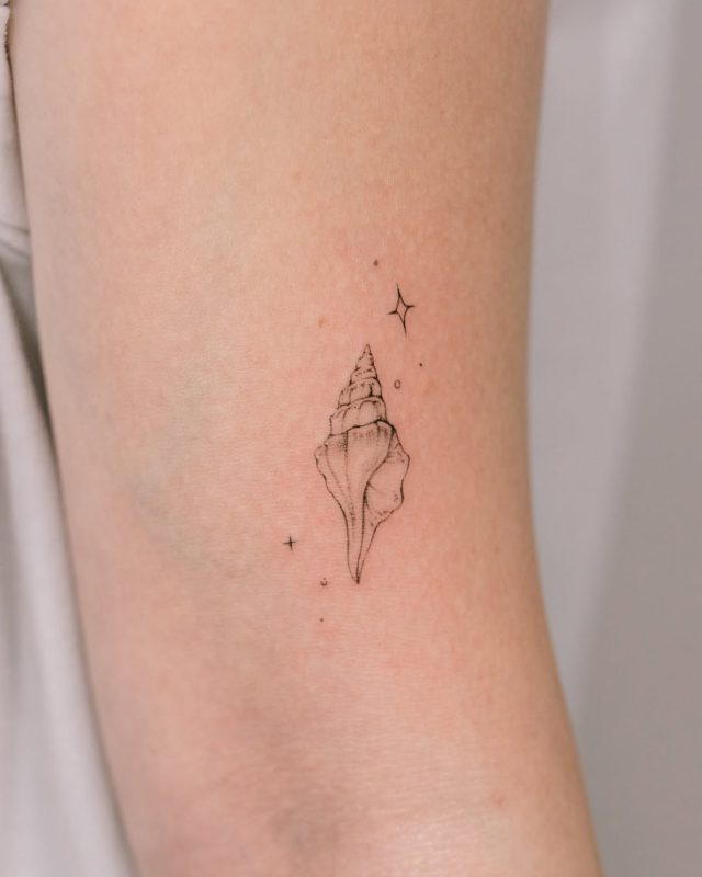 Delicate Shell