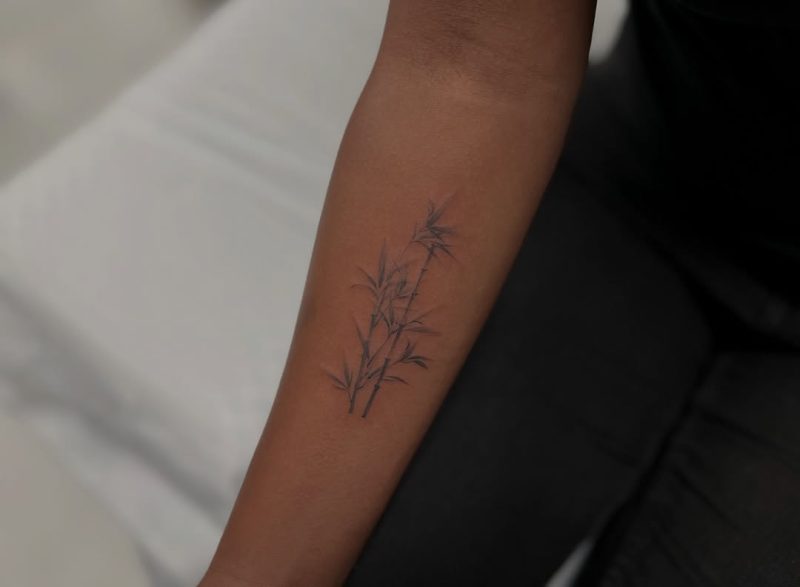 Delicate Bamboo