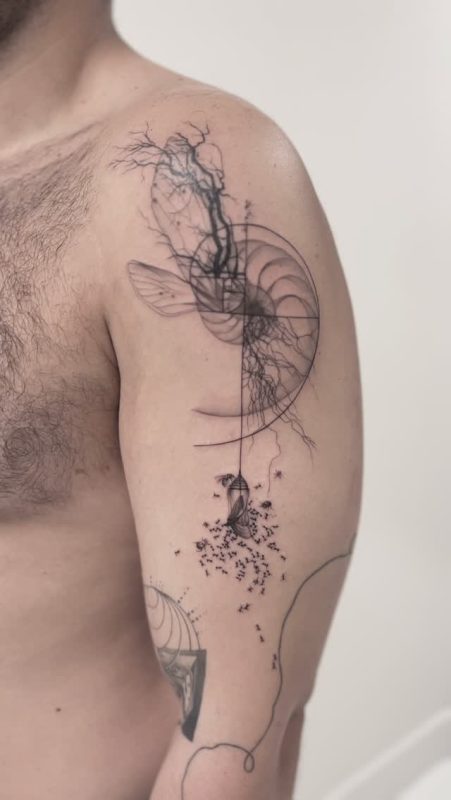 Abstract Spiral Ants