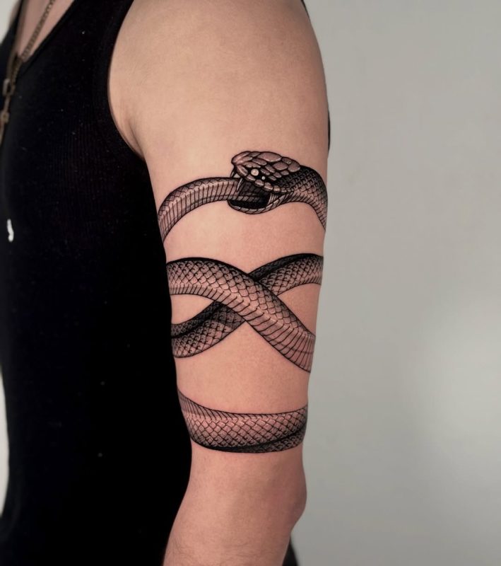 Black Gray Snake