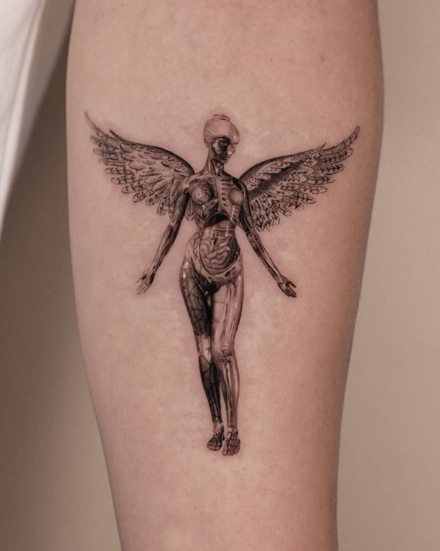 Anatomical Angel