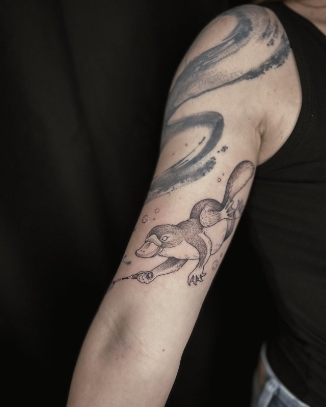 Fine Line Platypus