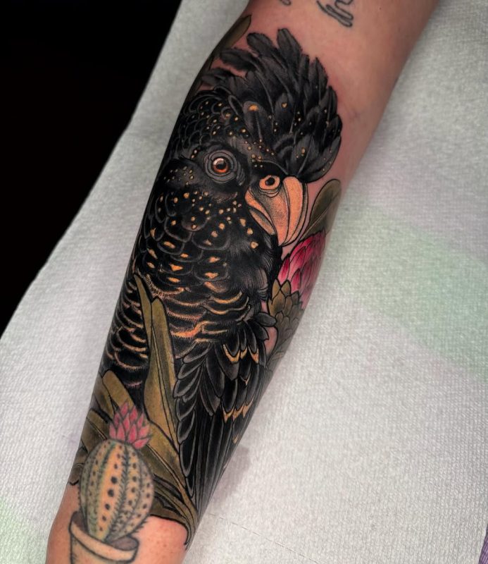 Black Cockatoo