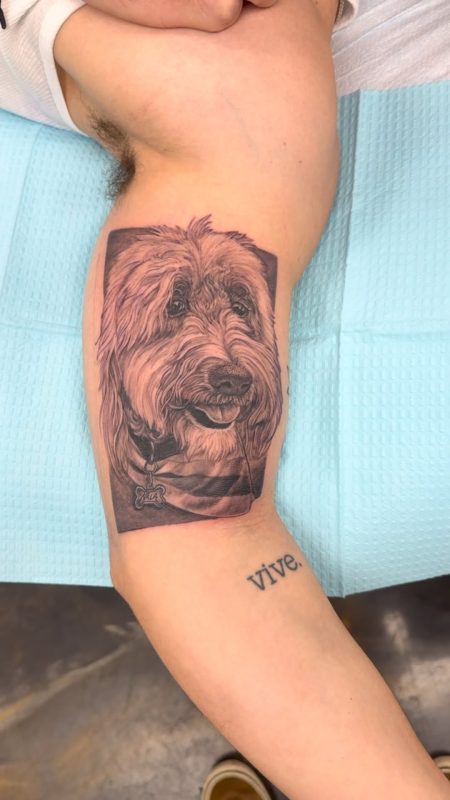 Dog Portrait