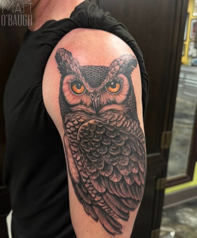 Realistic Owl