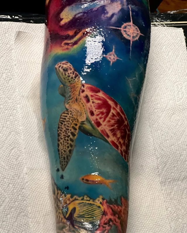 Sea Turtle Scene