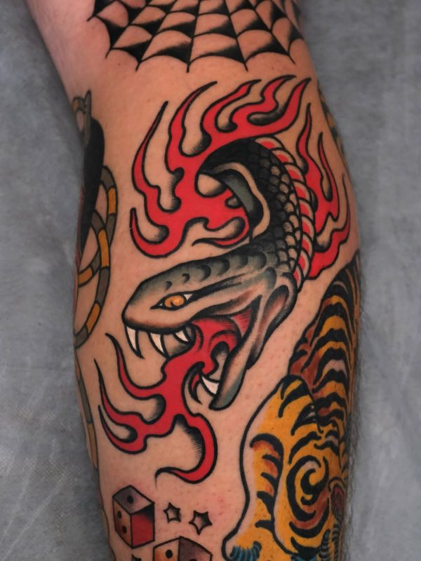 Flaming Snake