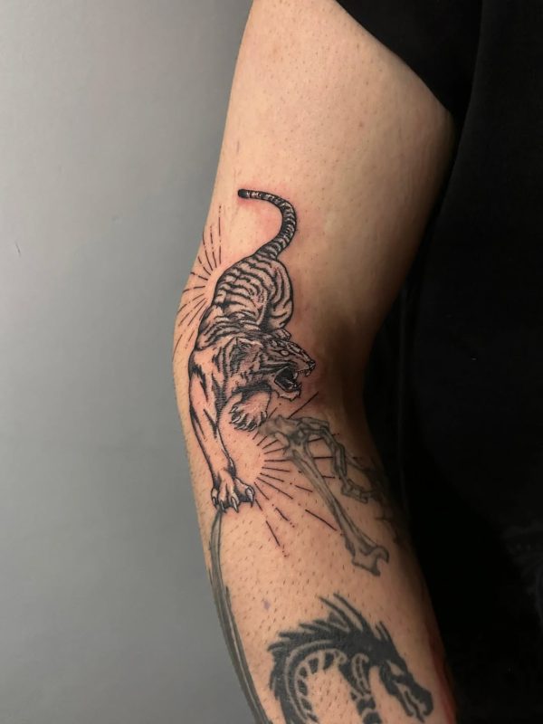 Leaping Tiger
