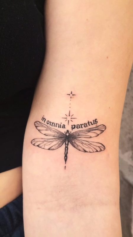 Dragonfly Script