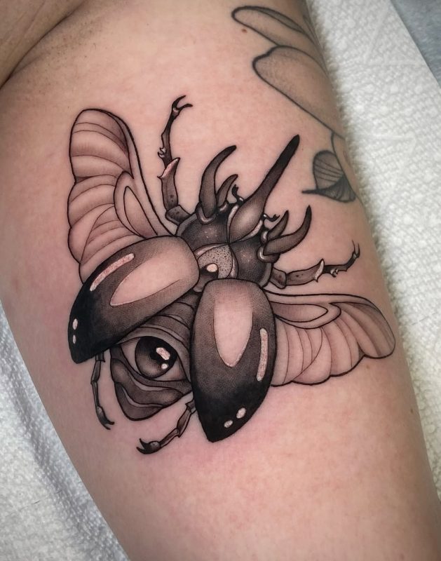 Surreal Beetle Eye