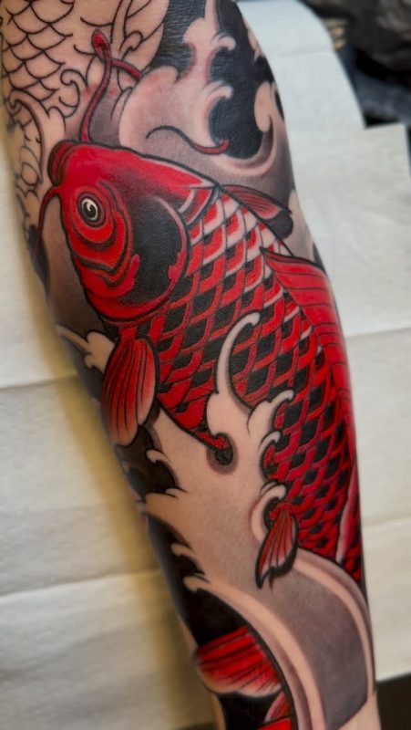Red Koi Fish