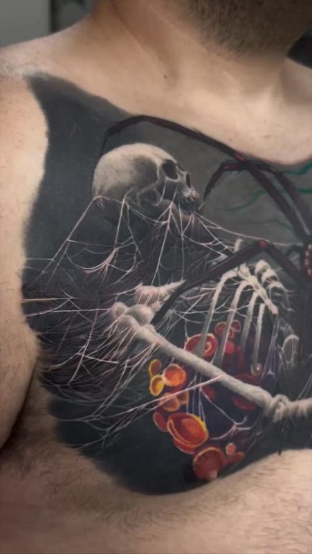 Spider Skeleton