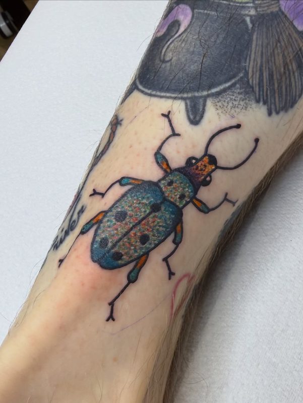 Colorful Beetle