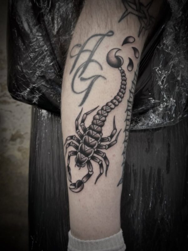 Black Scorpion