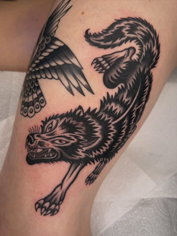 American Wolf