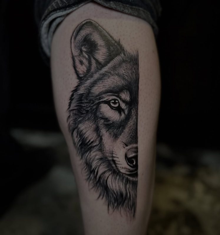 Half Wolf Portrait