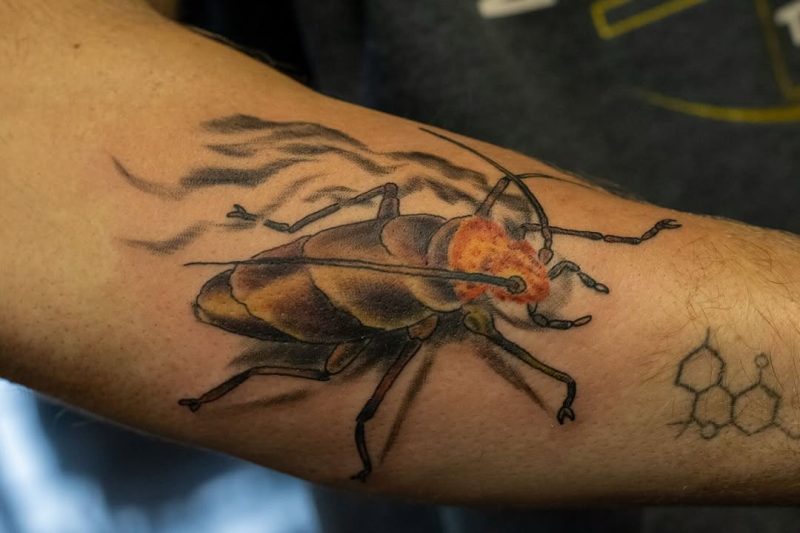 Realistic Bug