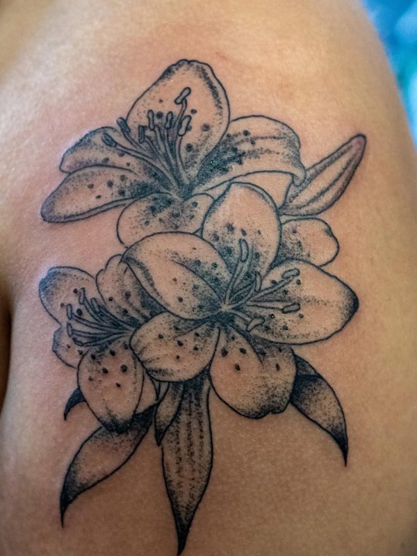 Black Gray Lilies