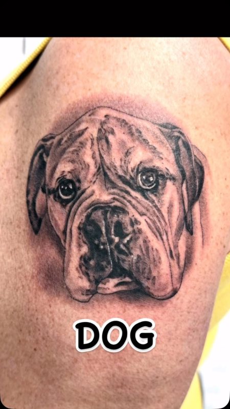 Dog Portrait