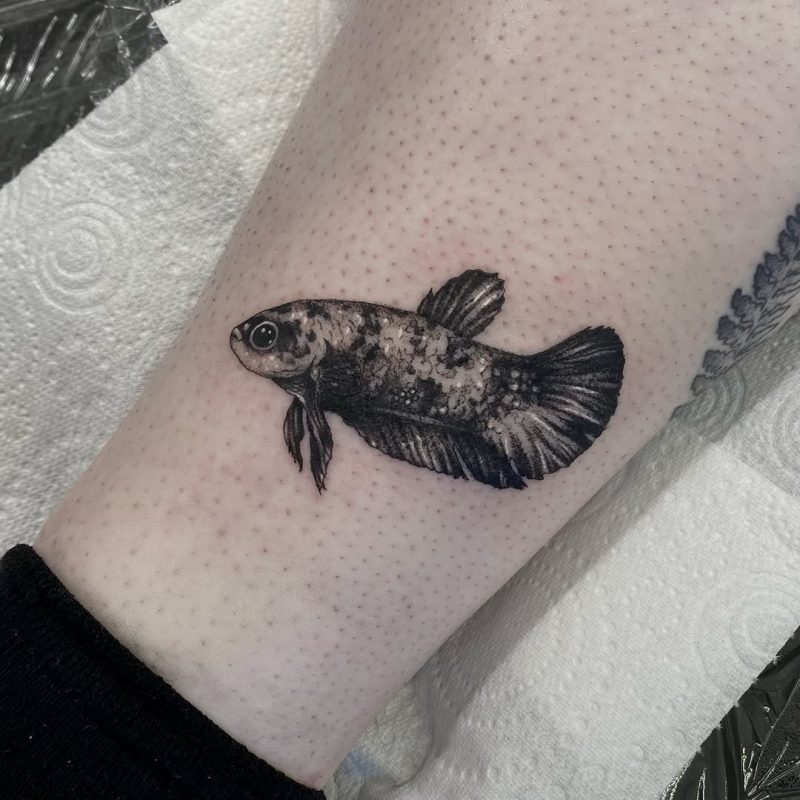 Realistic Fish