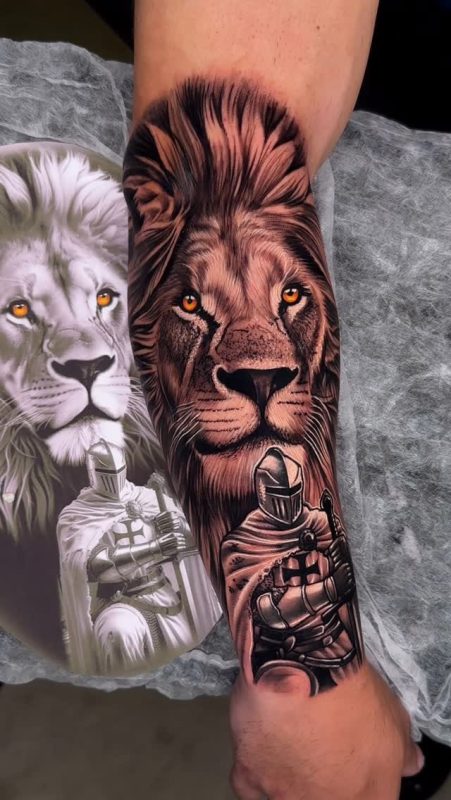 Lion Knight
