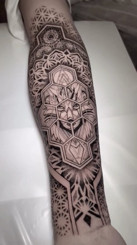 Geometric Lion