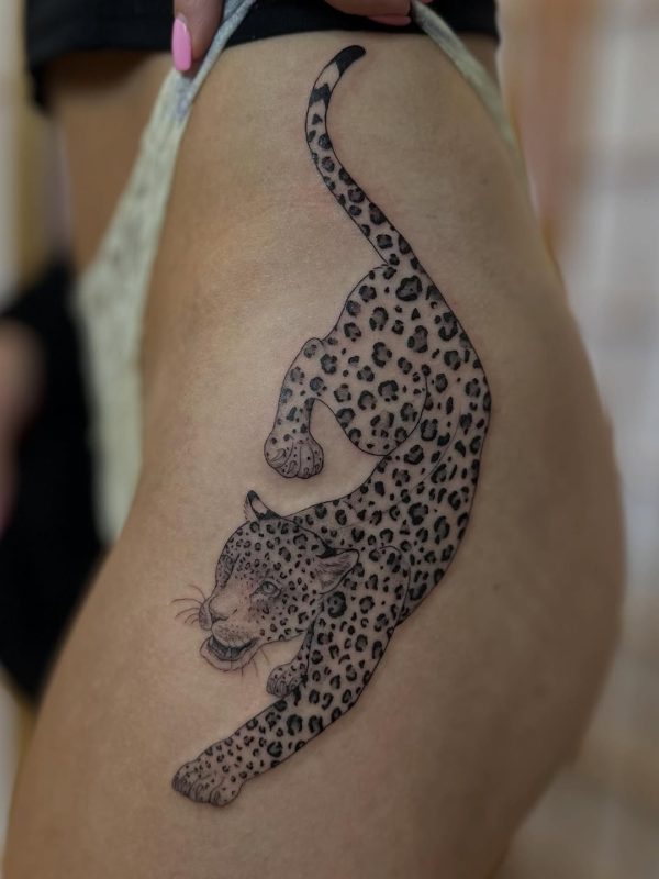 Leopard Outline