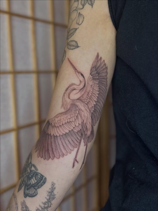Graceful Crane