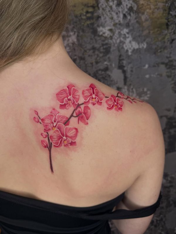 Pink Orchid Branch