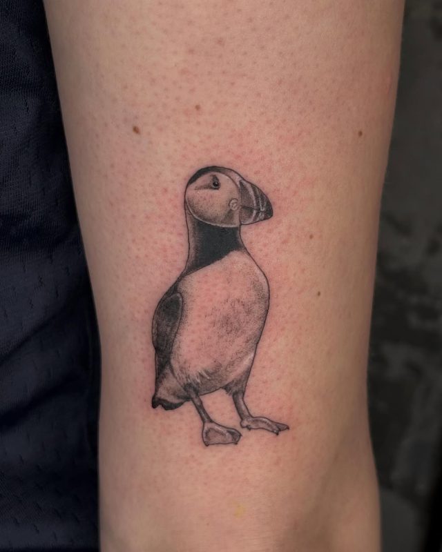 Black Gray Puffin