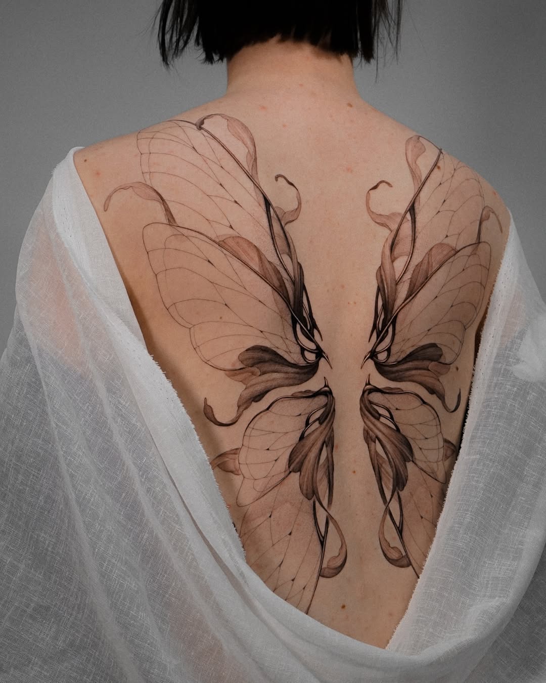 Delicate Butterfly Wings