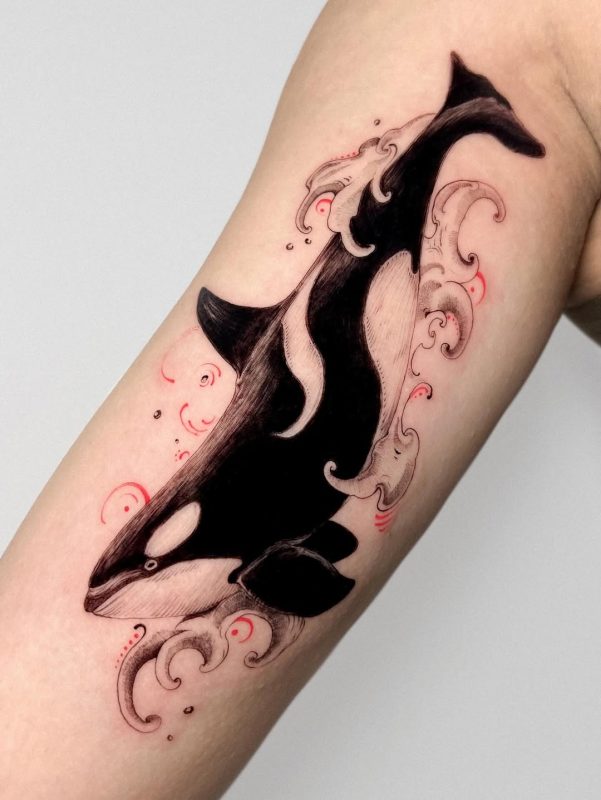 Orca with Waves