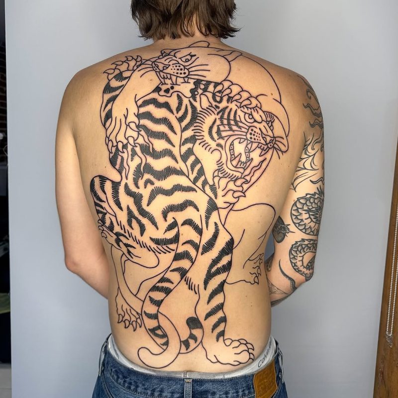 Fighting Tigers