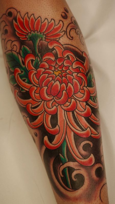 Chrysanthemum Flower
