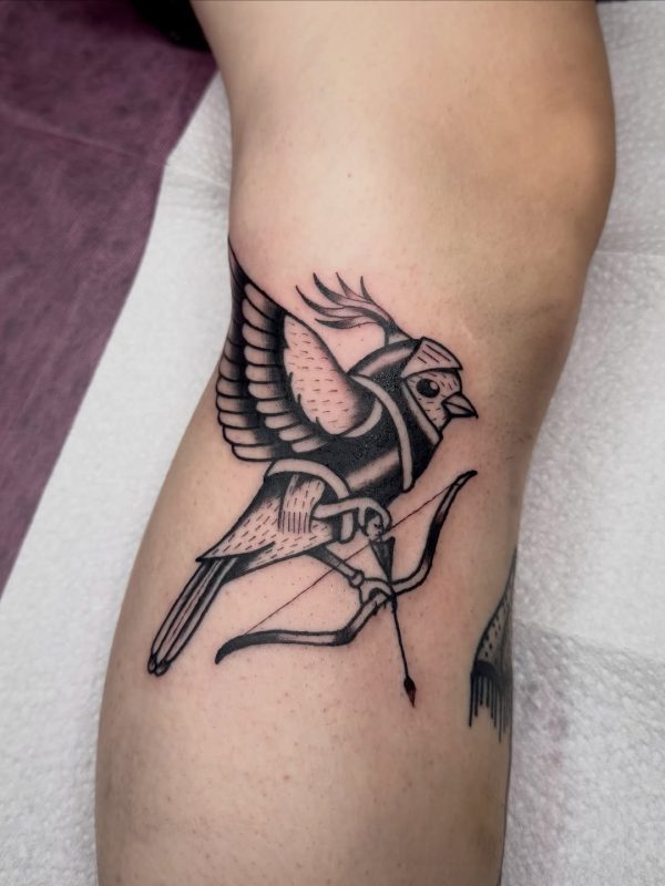 Archer Bird