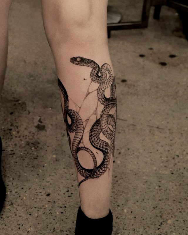 Black Gray Snake