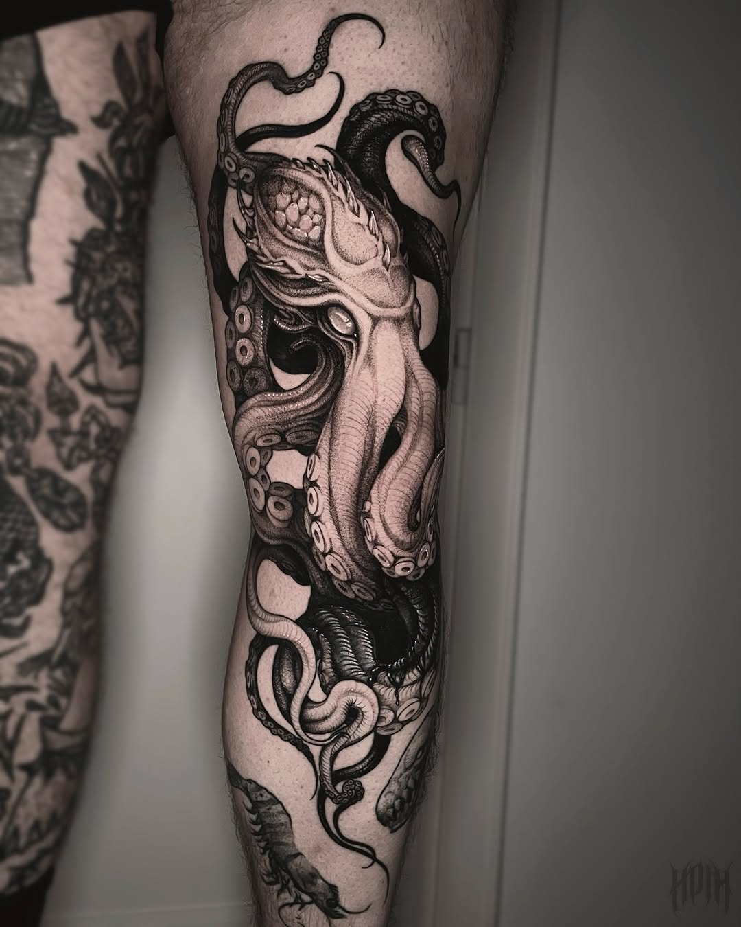 Octopus Detail