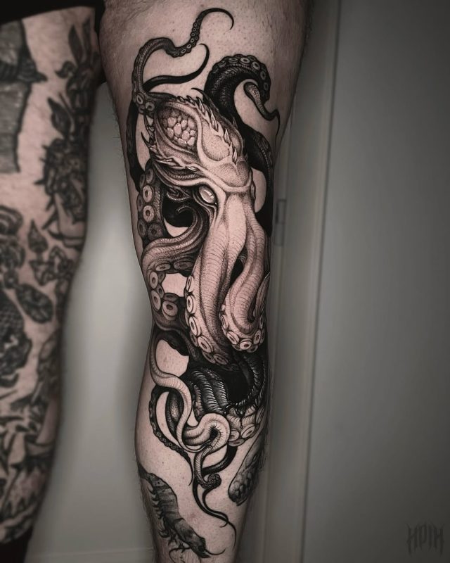 Octopus Detail