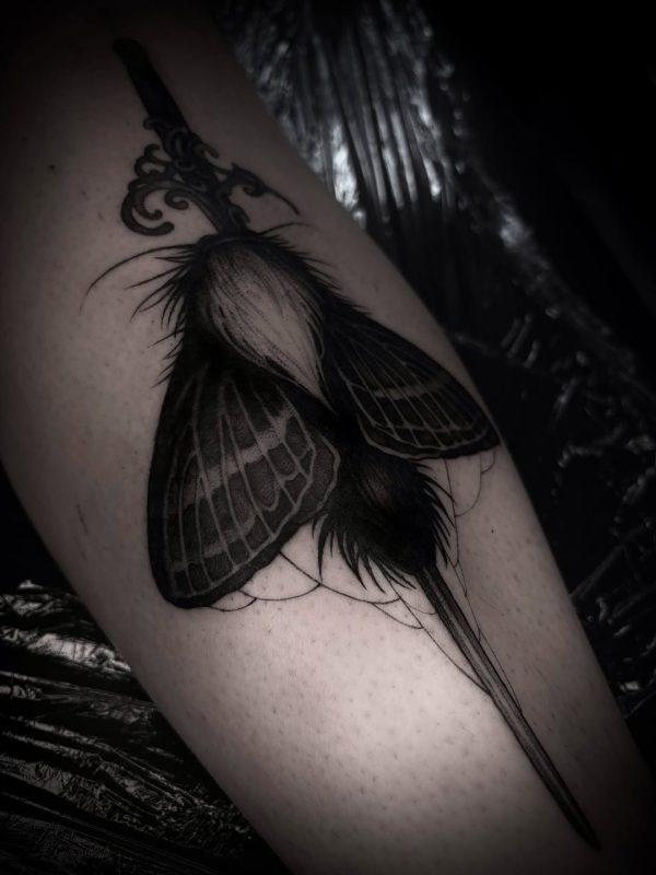 Black Gray Moth