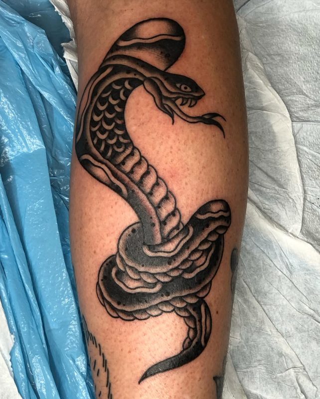 Black Snake