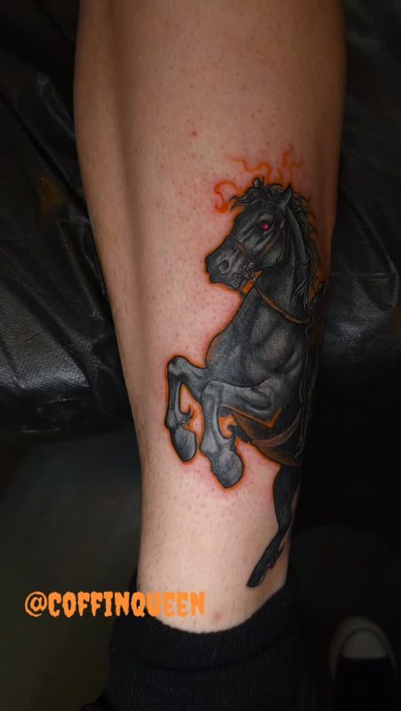 Fiery Black Horse