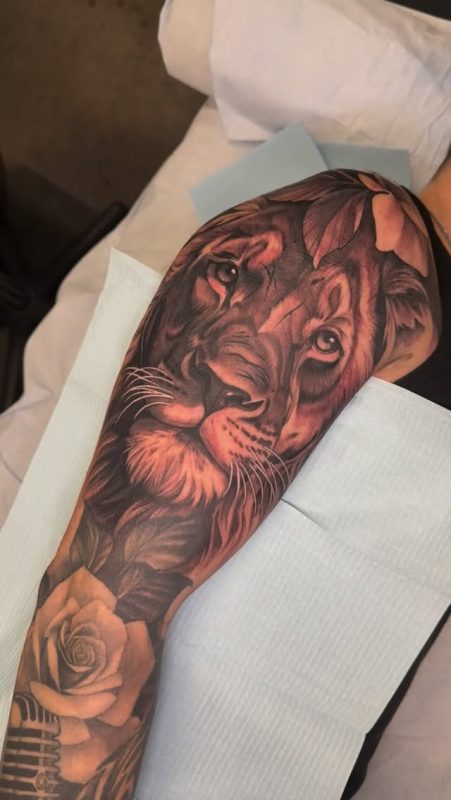 Lion Portrait