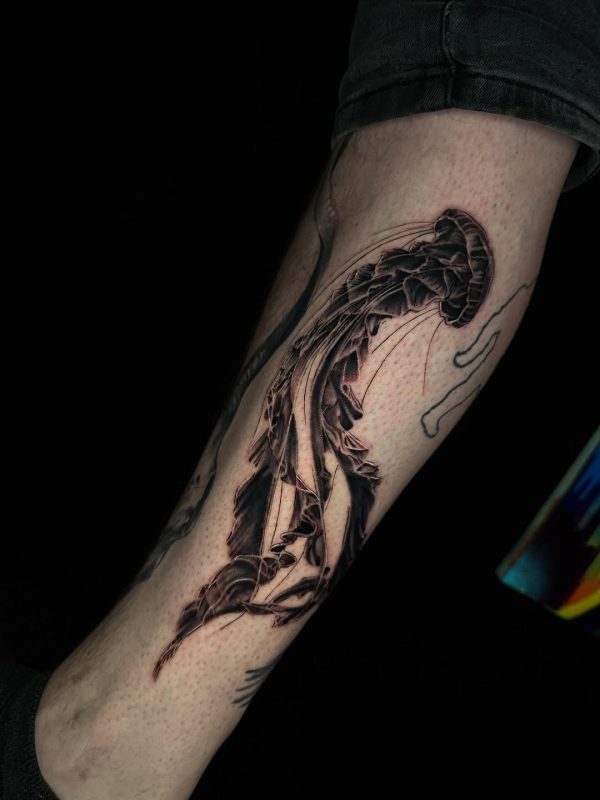 Jellyfish Black-Gray