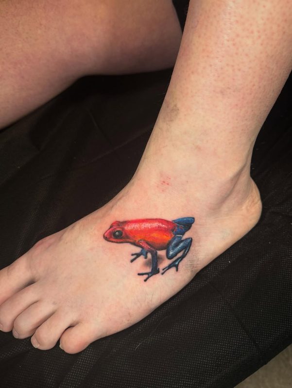 Red Blue Frog