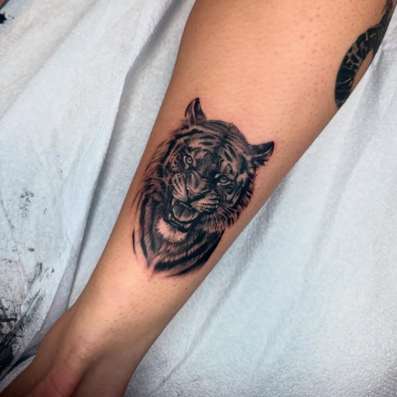 Roaring Tiger