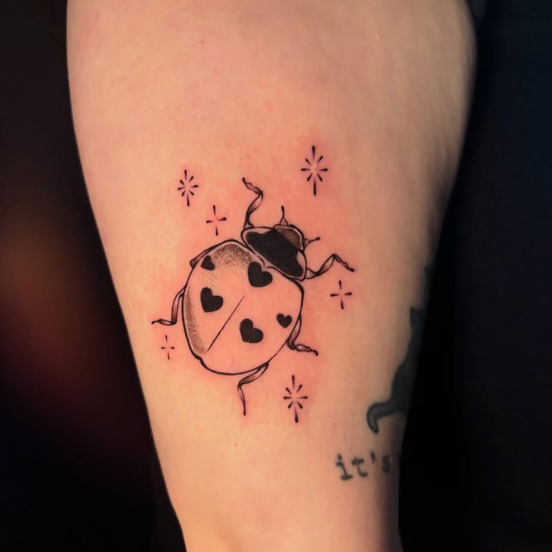Heart Spot Ladybug