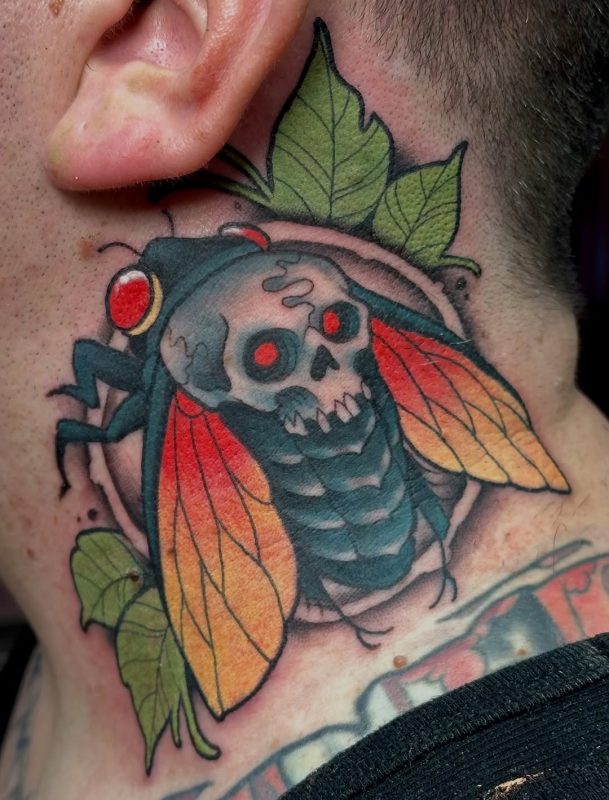 Skull Cicada