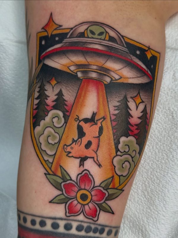 Alien Abduction